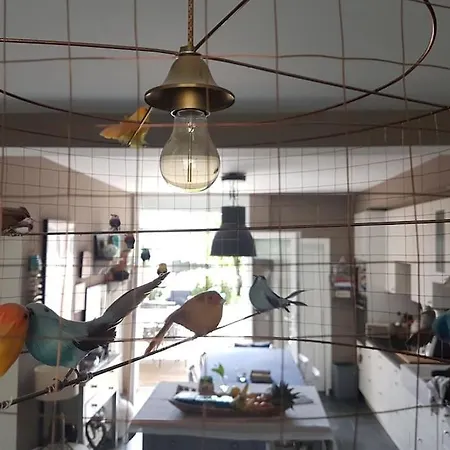 Baliste Et Sa Piscine Aux Sables D'olonne