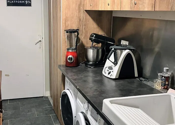 Baliste Et Sa Piscine Aux Sables D'olonne 別荘 *