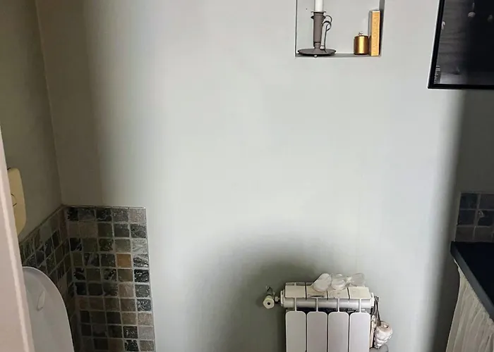 Baliste Et Sa Piscine Aux Sables D'olonne *