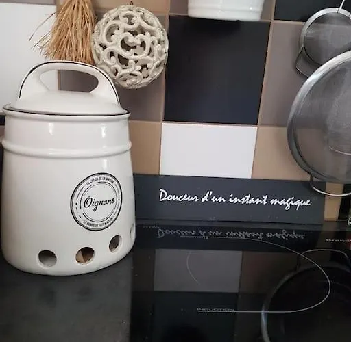 Baliste Et Sa Piscine Aux Sables D'olonne Château-dʼOlonne