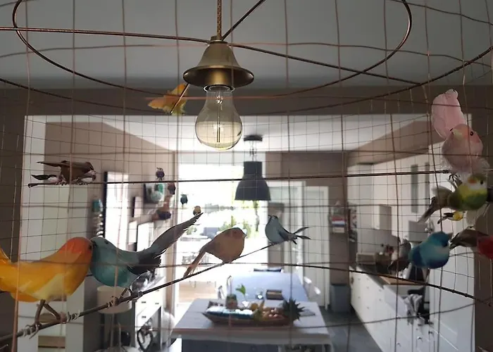 Baliste Et Sa Piscine Aux Sables D'olonne